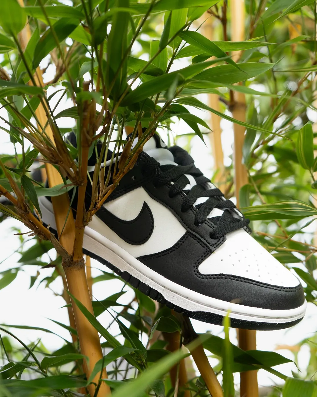 Nike Dunk Low Next Nature DD1873-102, vue 2